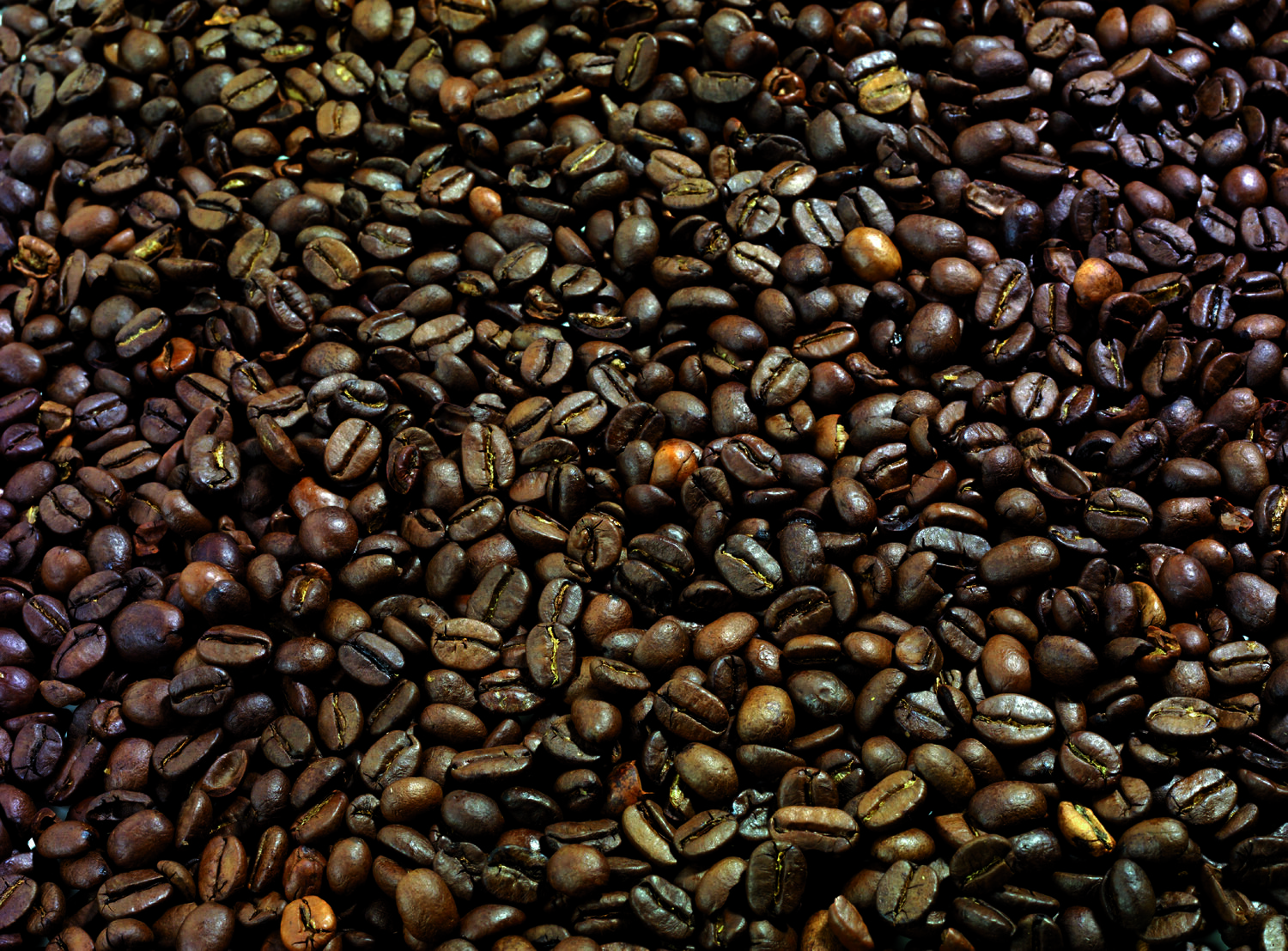 FANI® 025a Kaffeebohnen